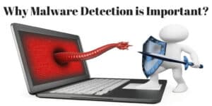 Why Malware Detection is Important?