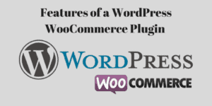 Features of a WordPress WooCommerce Plugin