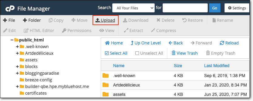 Upload files in cPanel File Manager