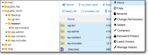 Move files on cPanel