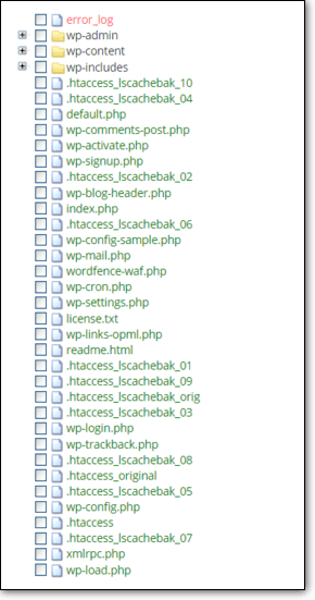 Screenshot of WordPress folder structure from MC dashboard