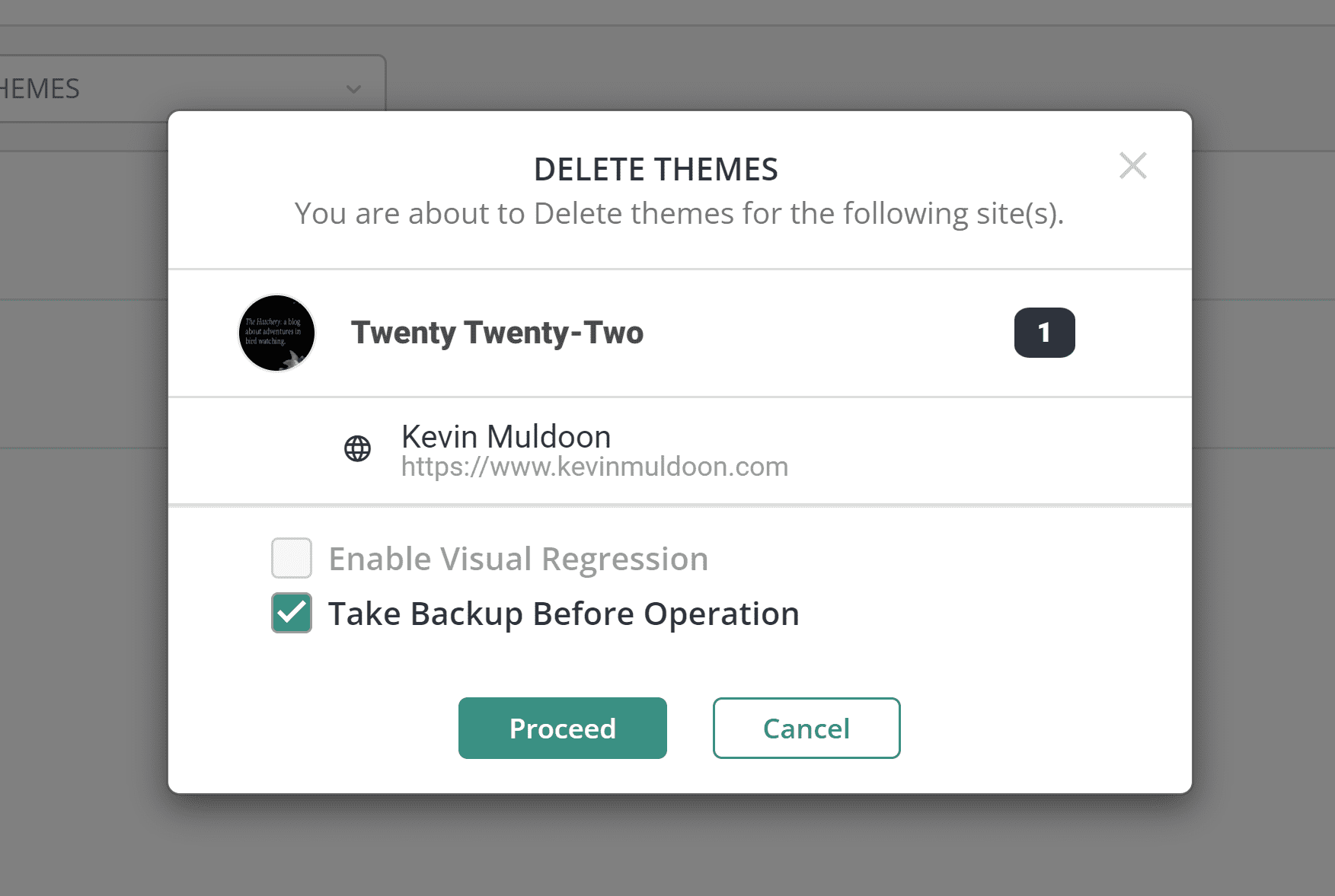 How To Delete A WordPress Theme Safely (5 Easy Ways) - BlogVault