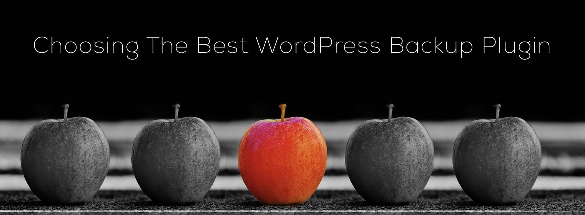 choosing best WordPress backup plugin