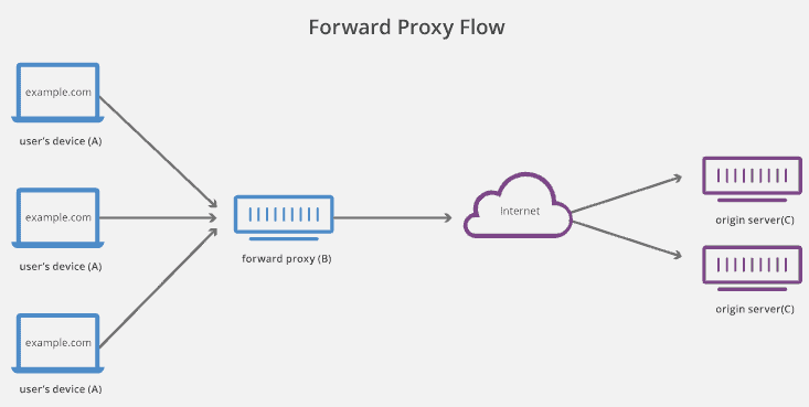 Process of a Reverse Proxy system