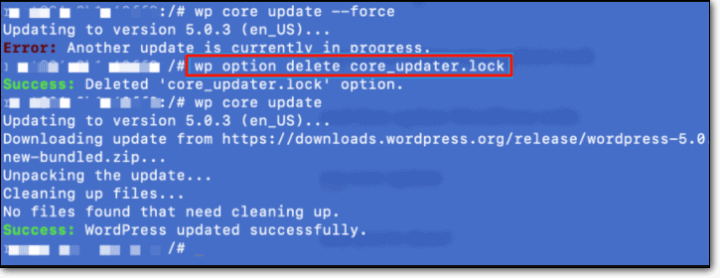 WP-CLI command to delete the core_updater.lock