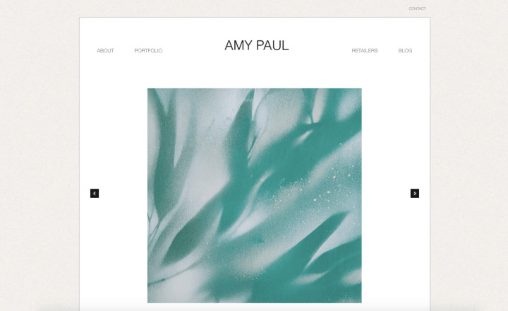 amy paul website