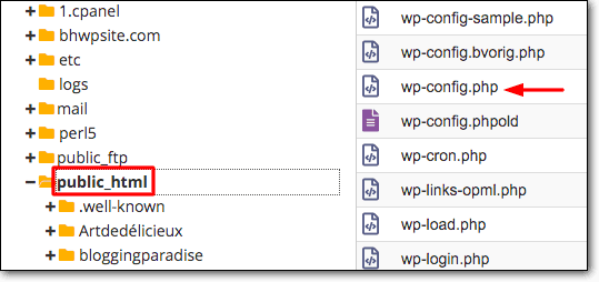 wp config file location