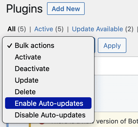 enable auto updates for WordPress plugins