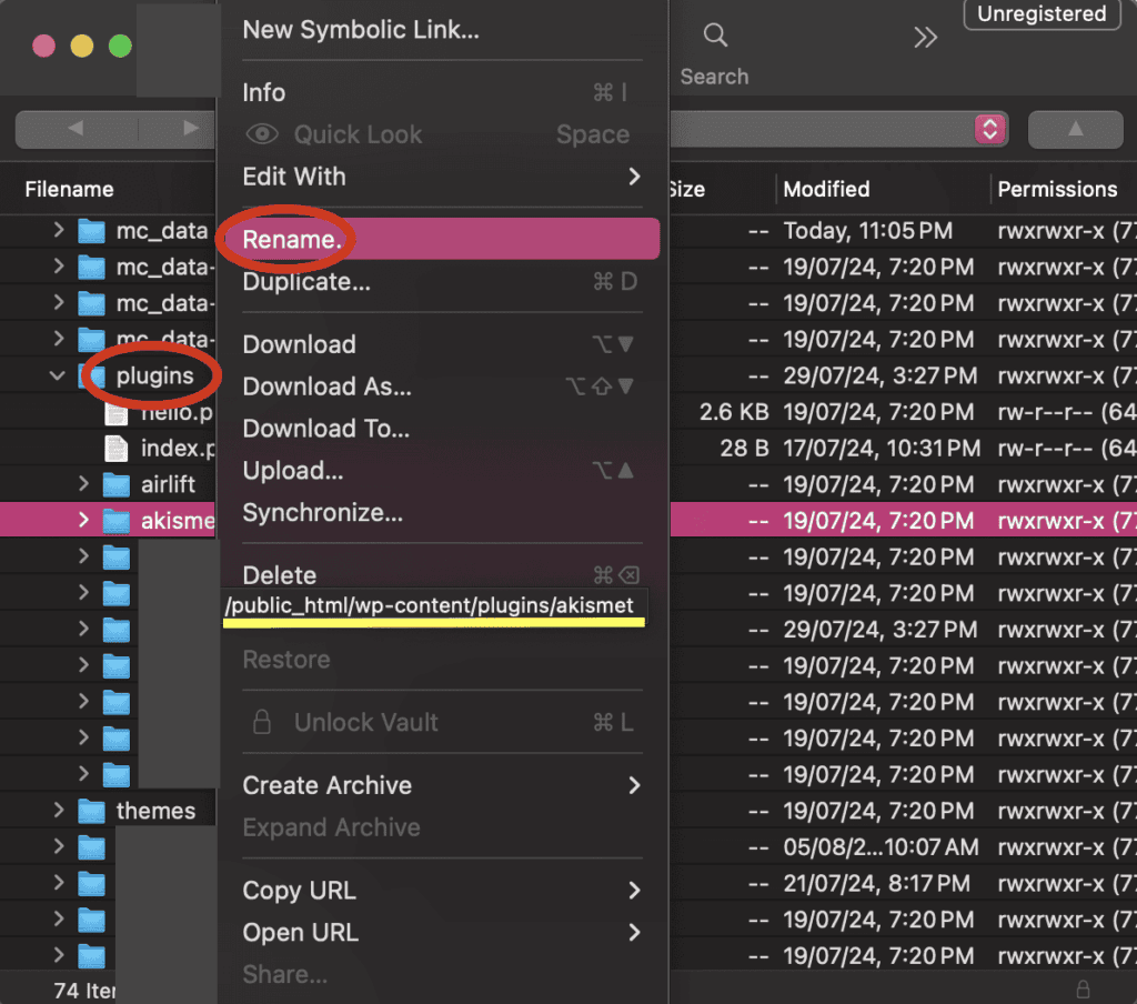 Disable plugins