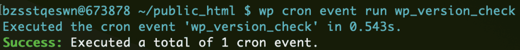 wp cron event run in wp-cli