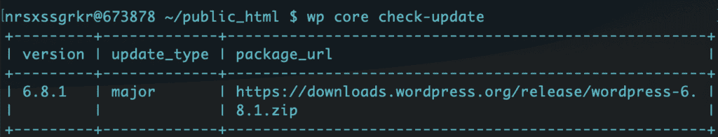 wp cli wp core update