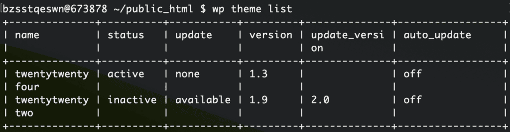 wp theme list in wp-cli