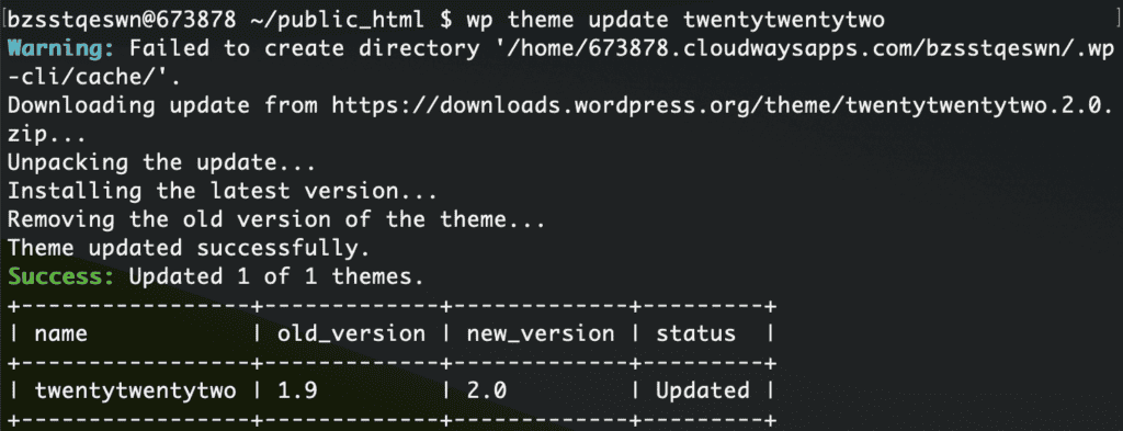 wp theme update success using wp cli