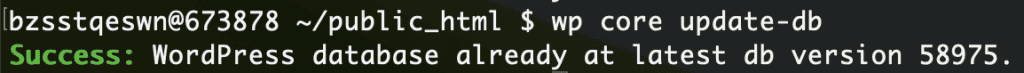 wp database update using wp cli