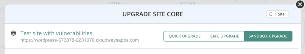 Choose Sandbox upgrade option