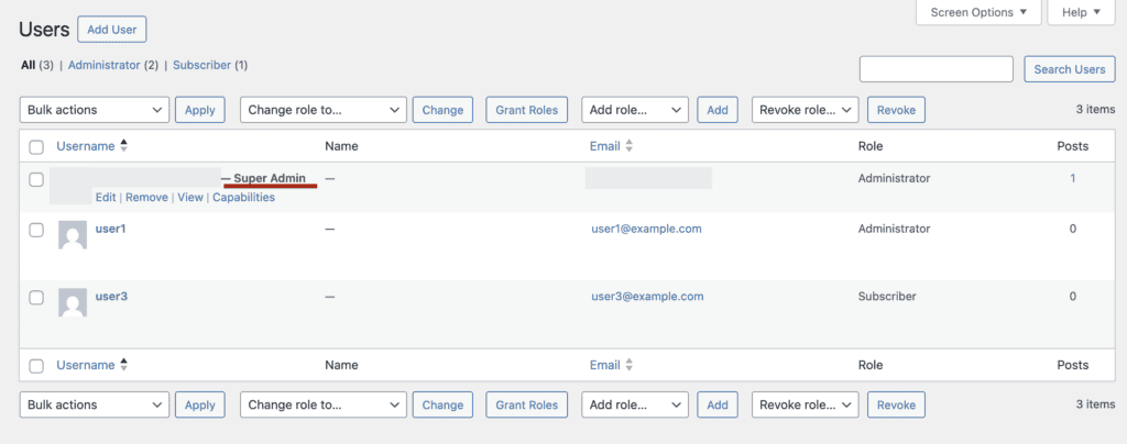 site's super admin in multisite 