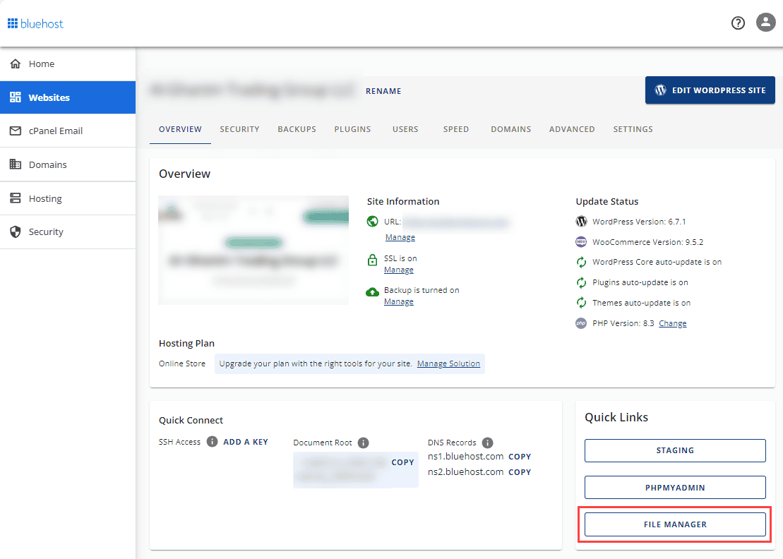 File manager bluehost