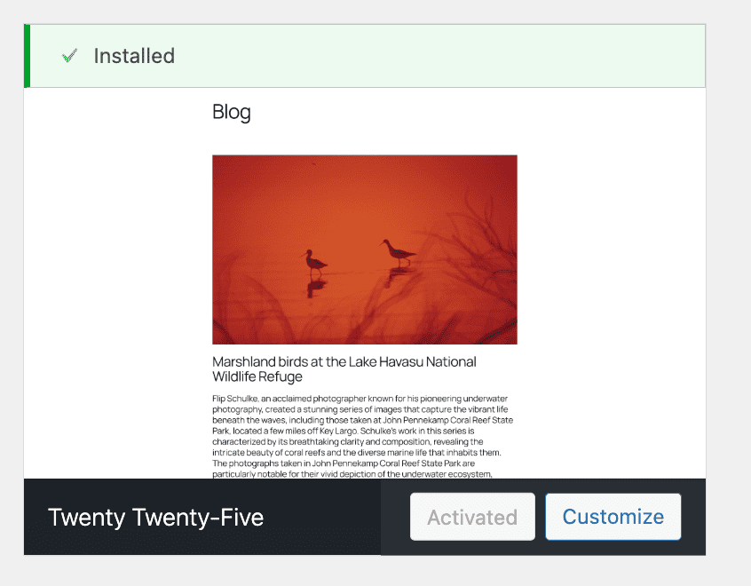 Customize theme