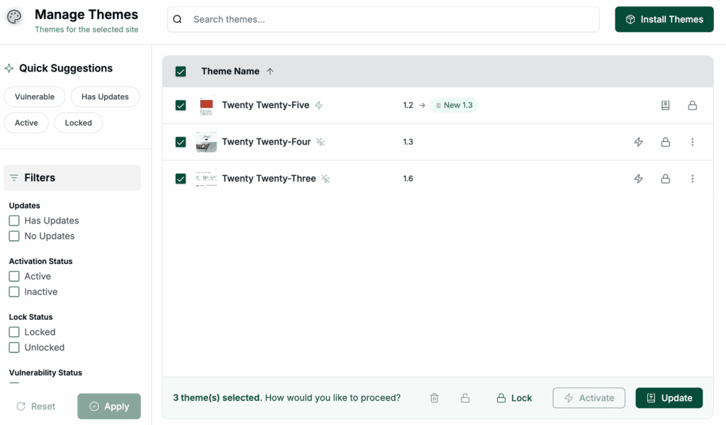 Update themes via blogvault