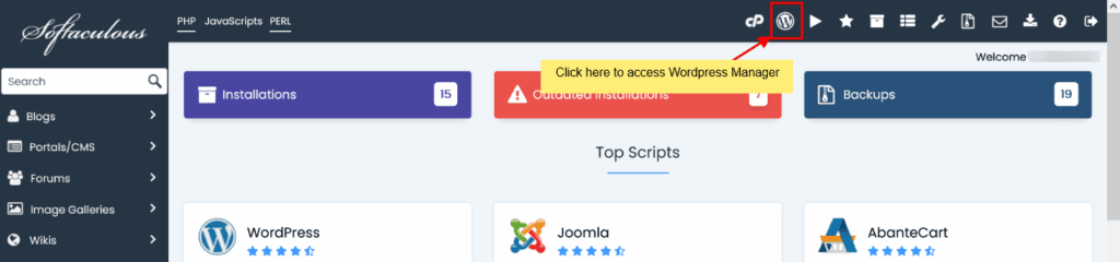 WordPress icon