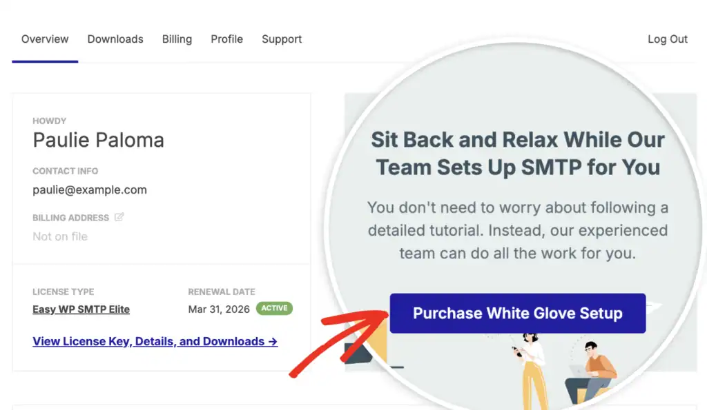 purchase-white-glove-setup-easy wp smtp