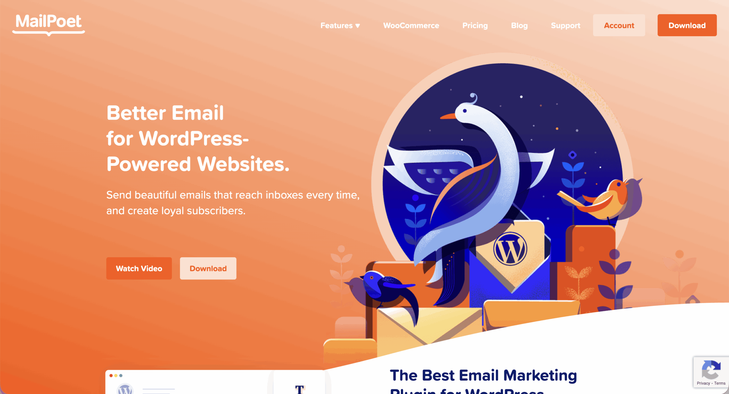 MailPoet homepage