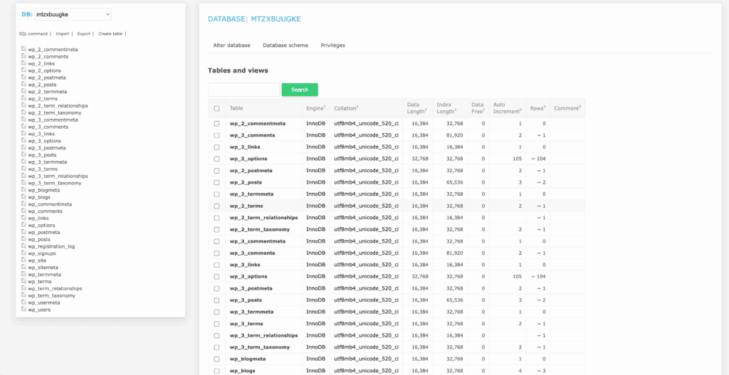 Cloudways database manager