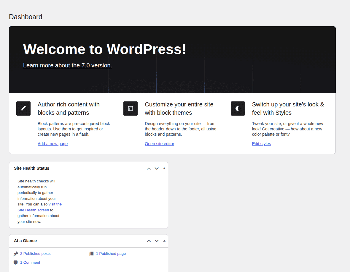 Single-site WordPress dashboard overview