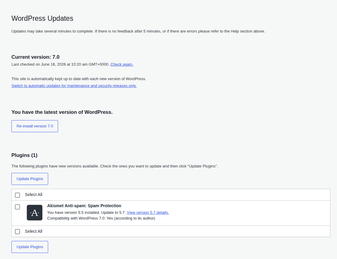 WordPress updates screen checked before launch changes