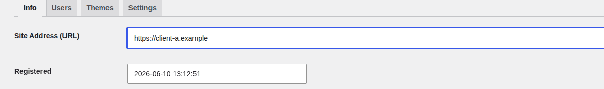 Site Address URL field for a mapped WordPress multisite subsite