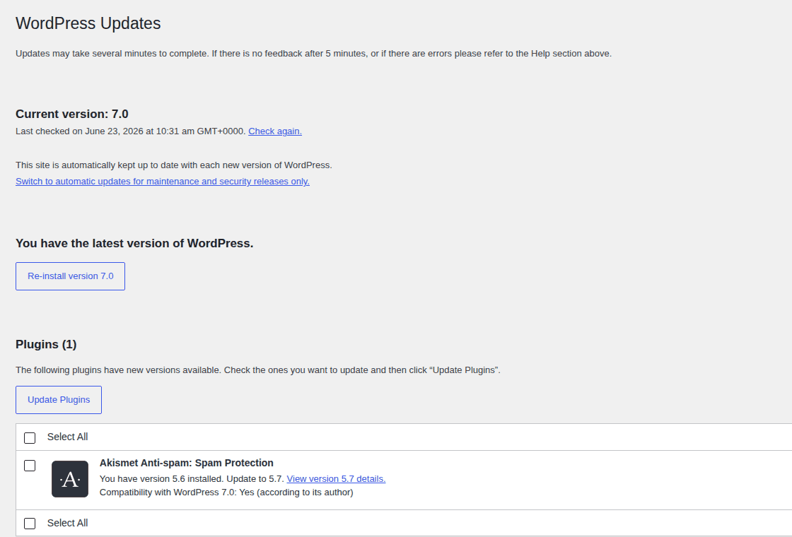 WordPress Updates screen for checking interrupted core updates