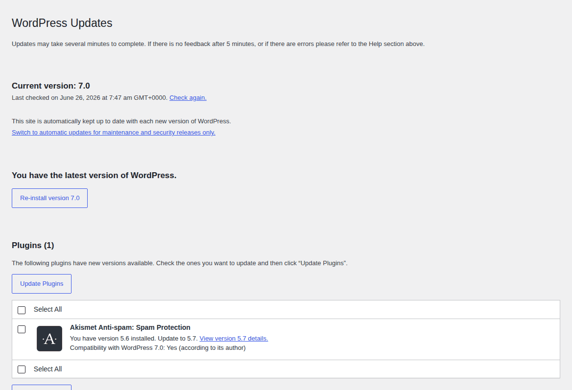 WordPress Updates page showing plugin update compatibility details