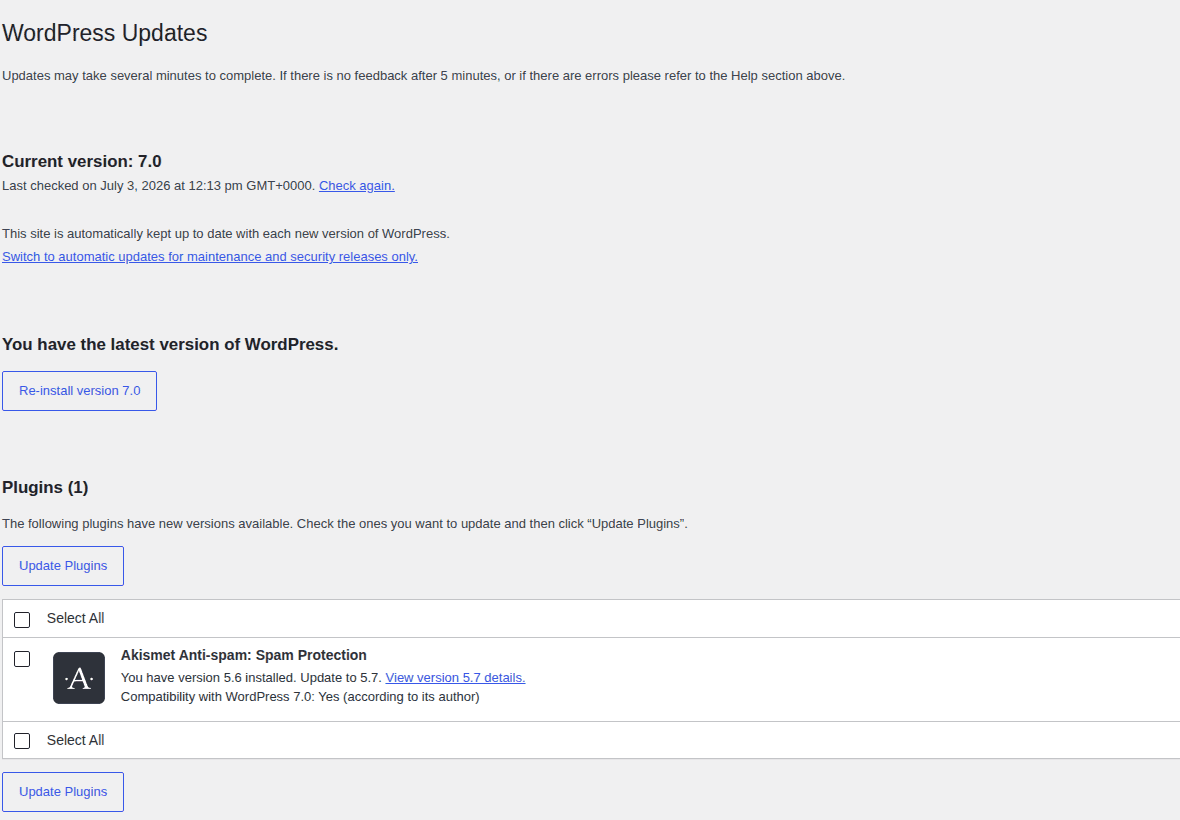 WordPress Updates screen showing available plugin update context