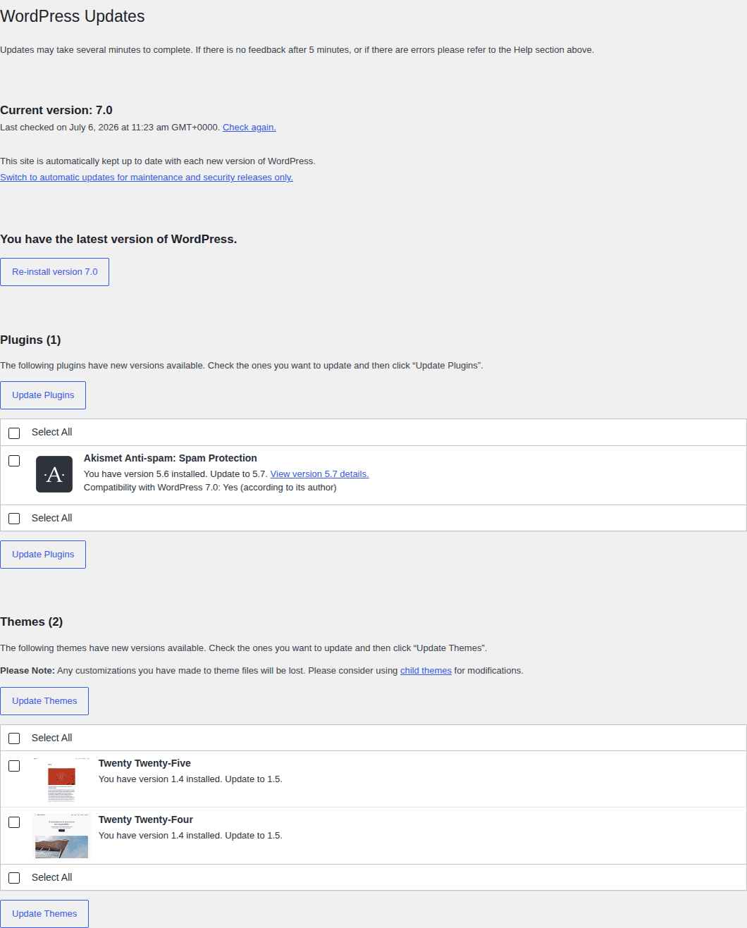 WordPress updates screen showing plugin update context