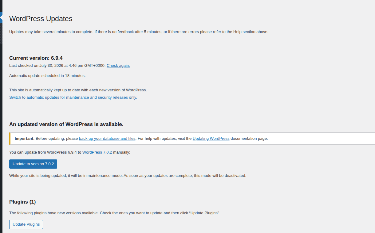 WordPress Updates screen for reinstalling core files