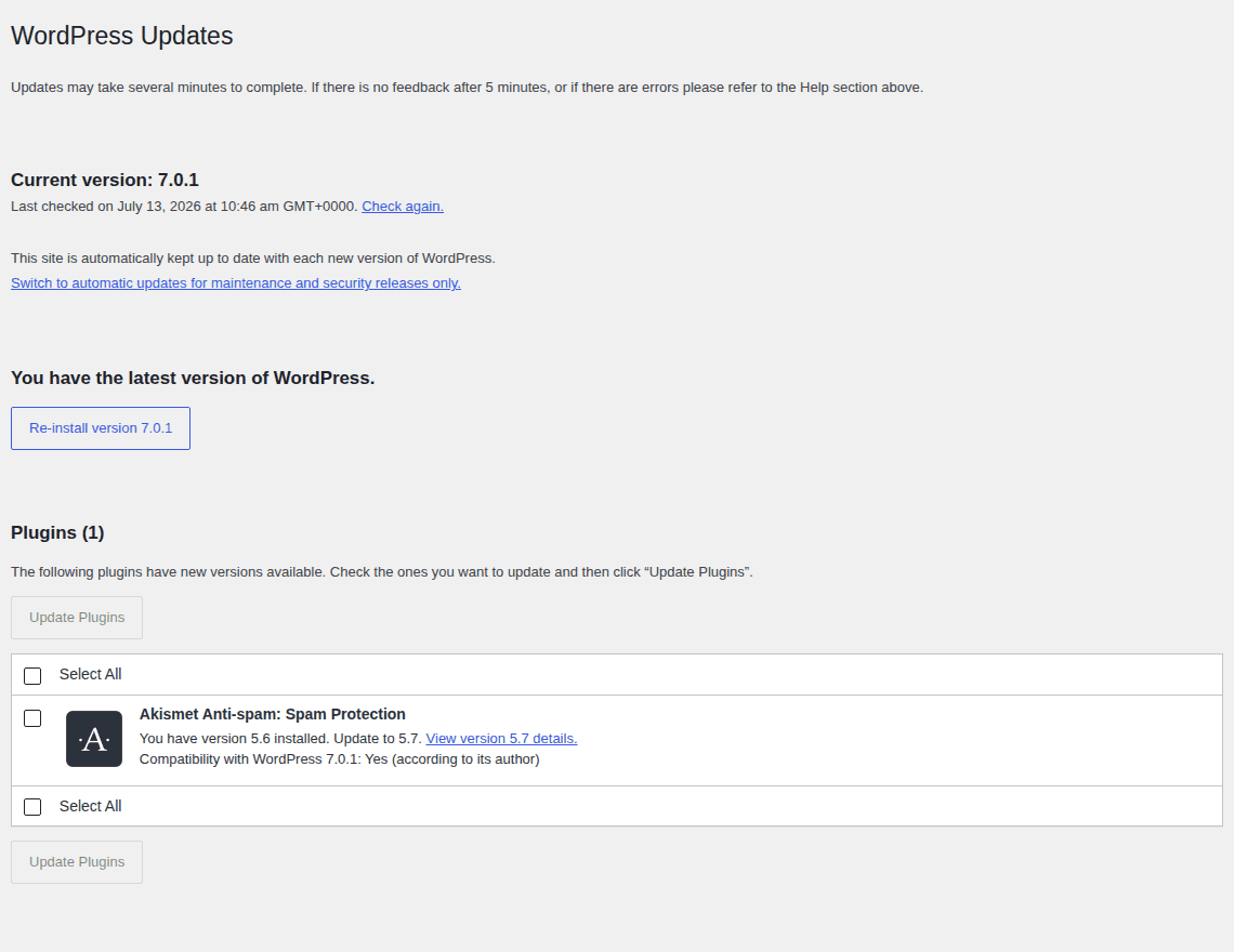 WordPress Updates screen before running risky site changes