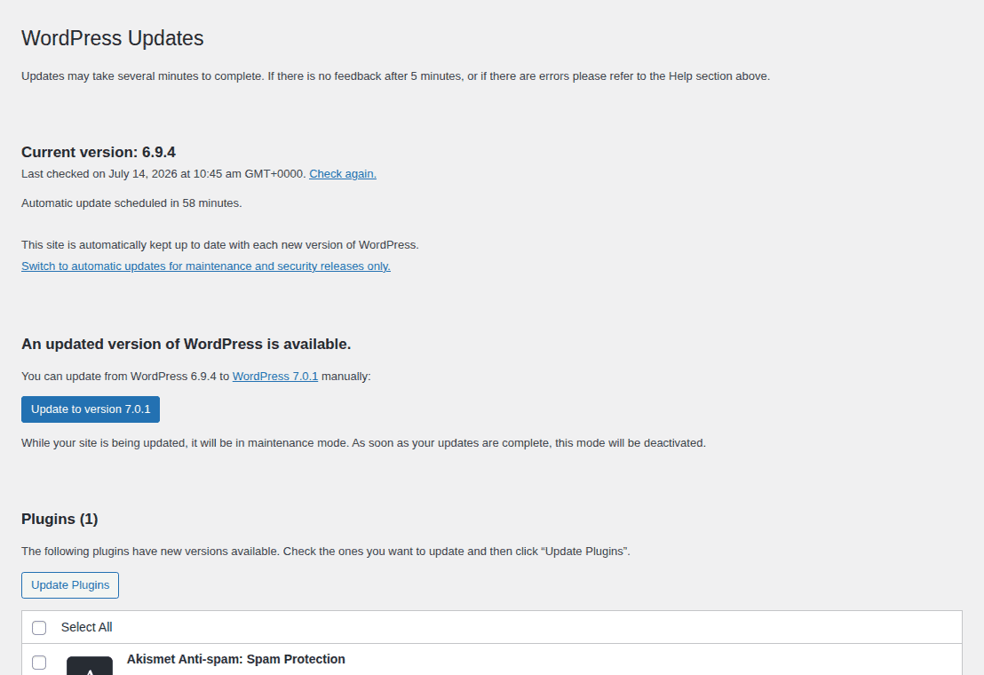 WordPress updates screen before making site changes