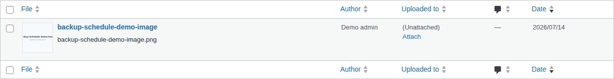 WordPress media library showing uploaded site files