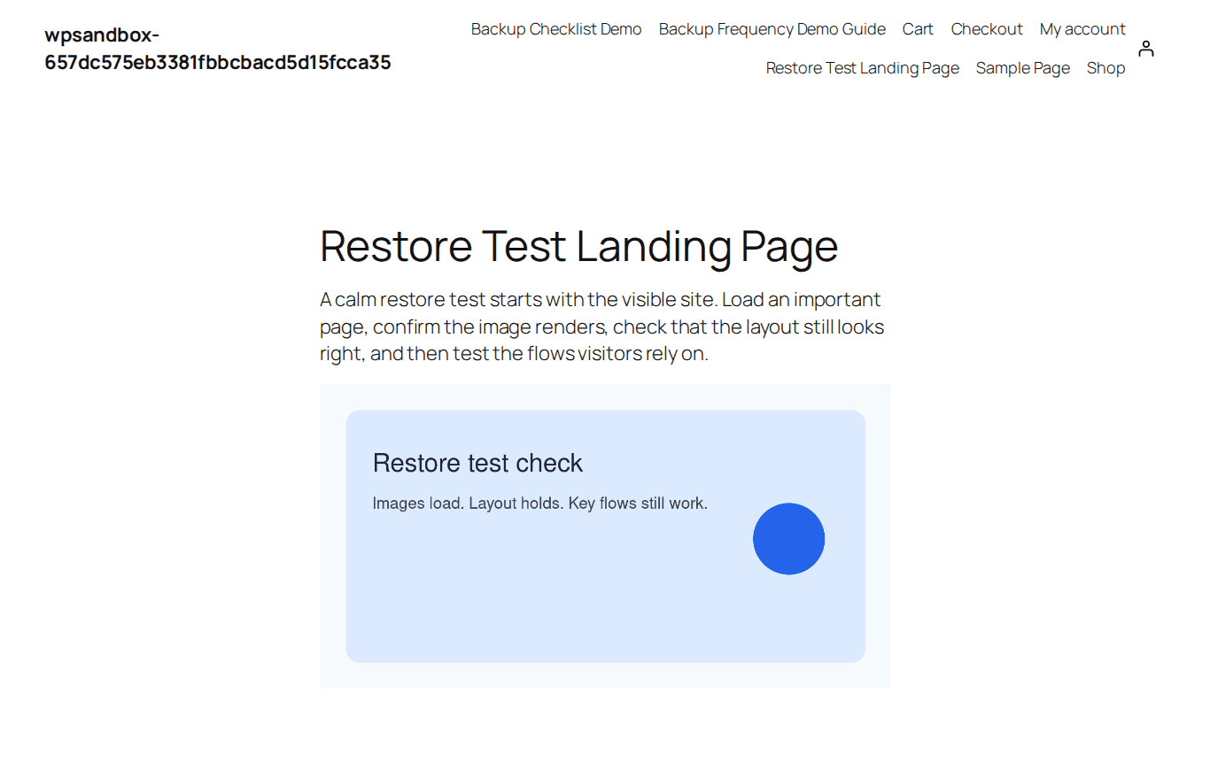 Frontend restore test page with demo image and layout check
