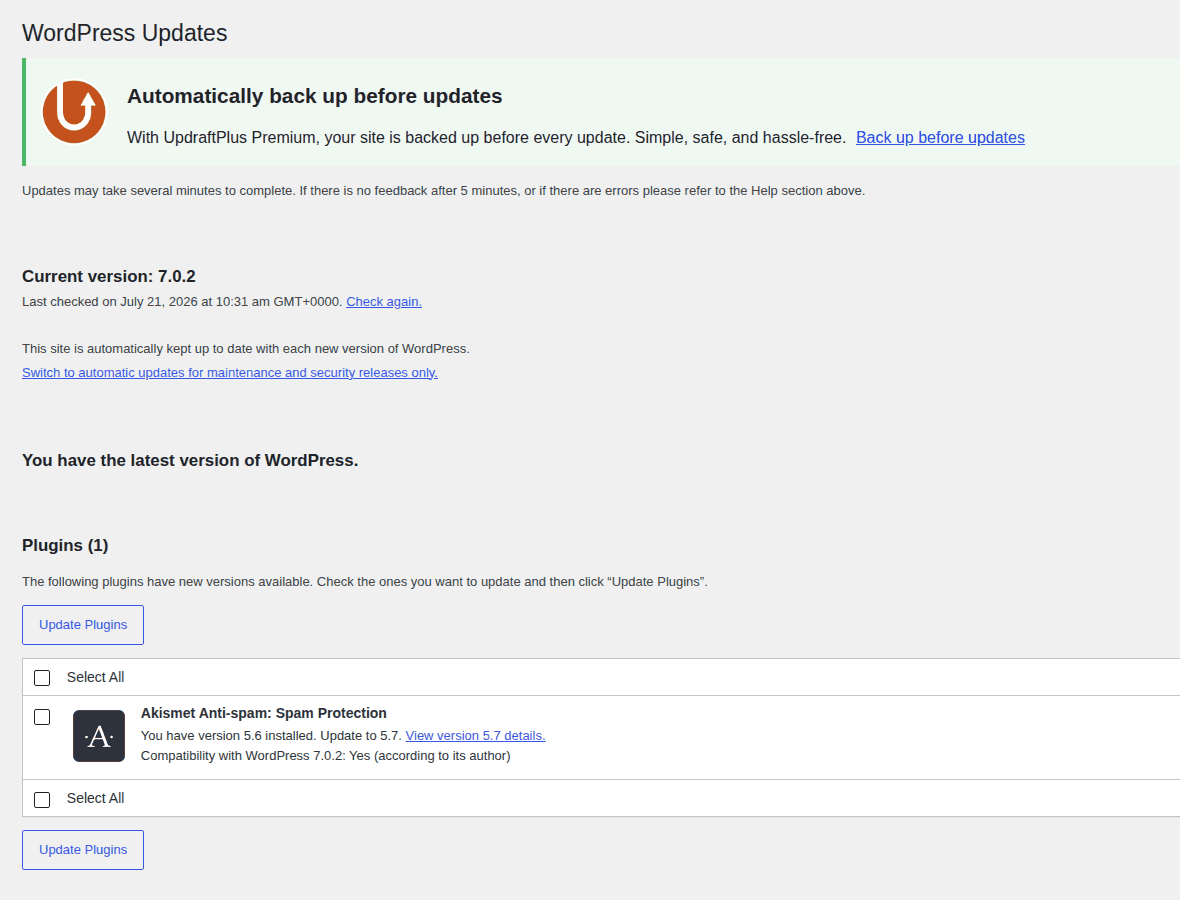 WordPress update screen reminding users to back up first