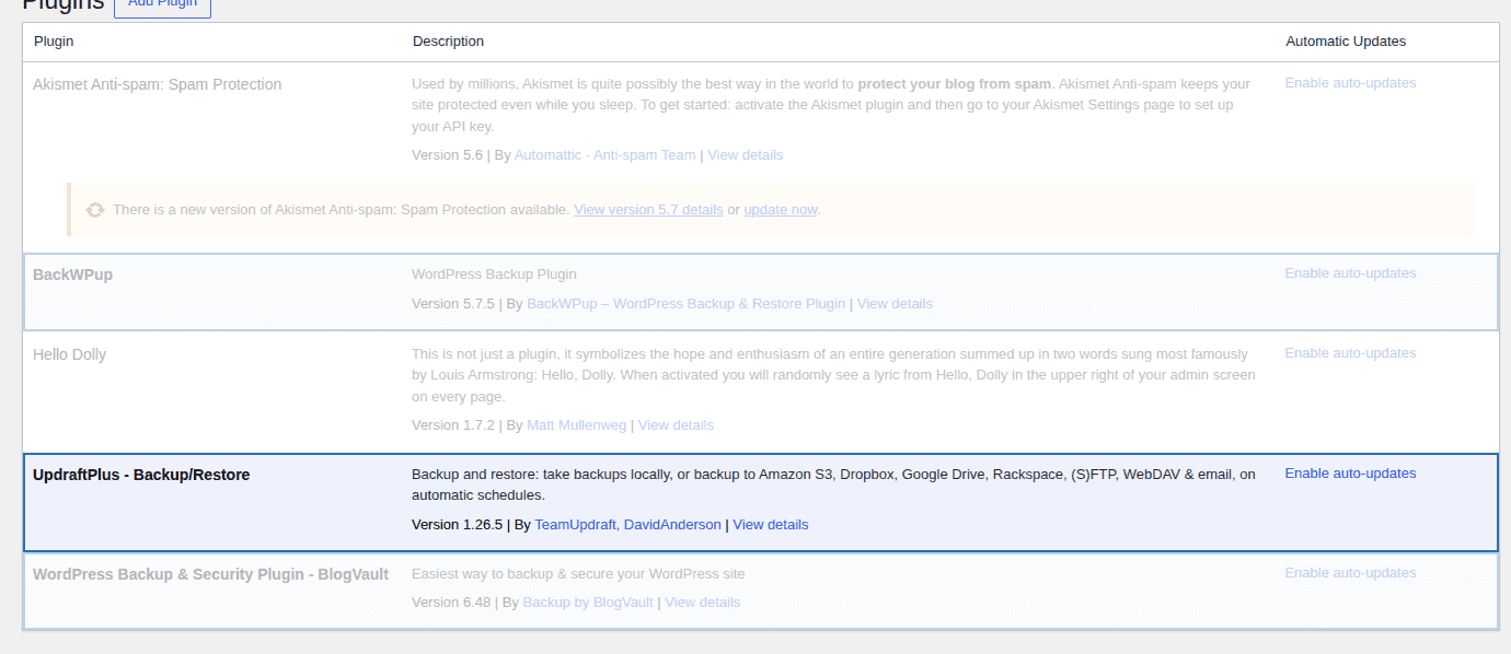 WordPress plugin update screen showing maintenance risk