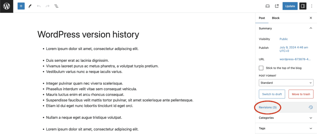 Wordpress revisions