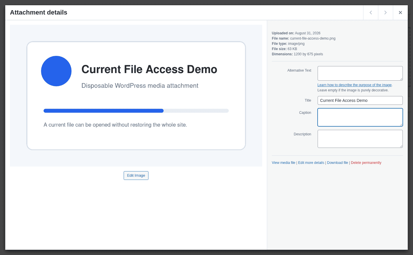 WordPress Media Library detail panel for a current file