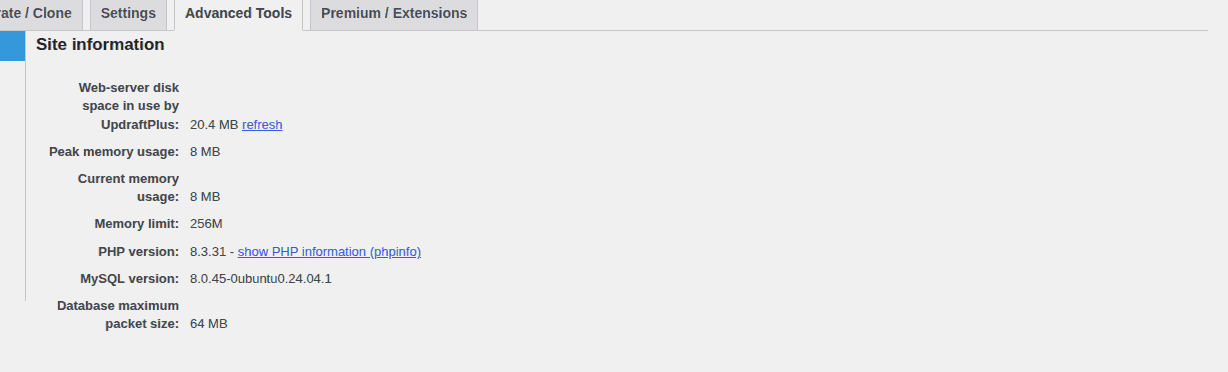 UpdraftPlus Site information panel with server limits and resource details