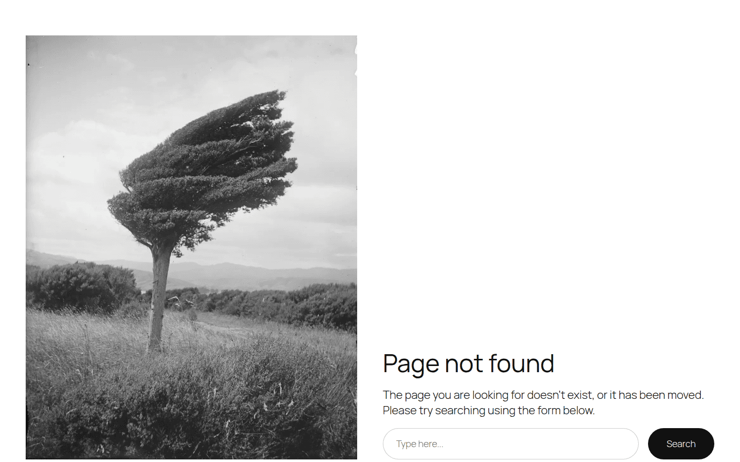 WordPress 404 response for checking missing routes