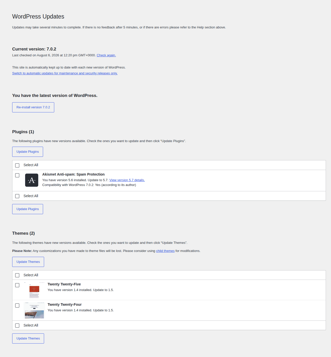 WordPress Updates screen for ongoing maintenance