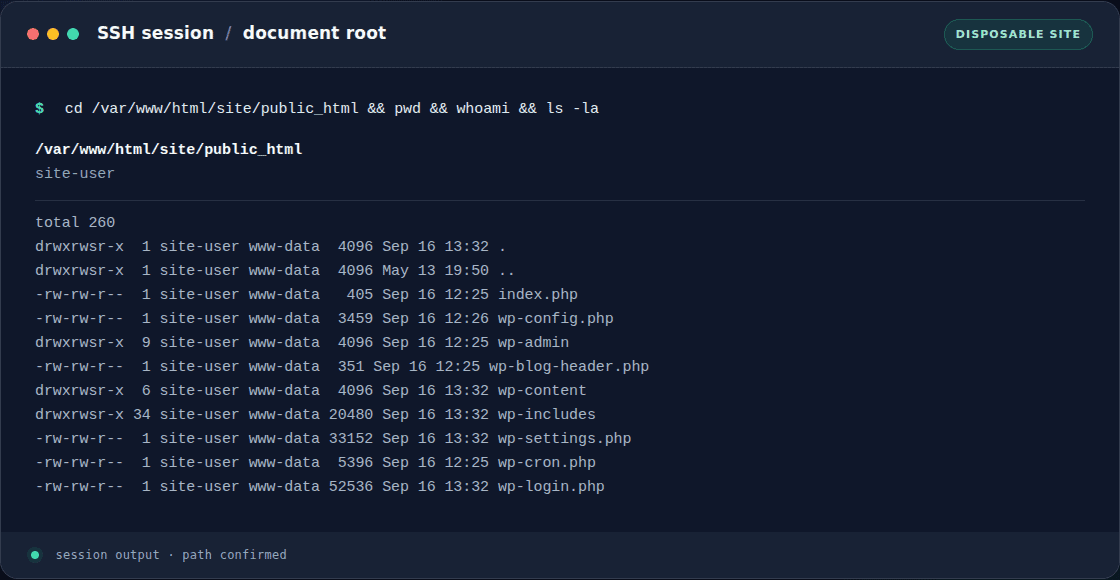 SSH session showing the WordPress document root