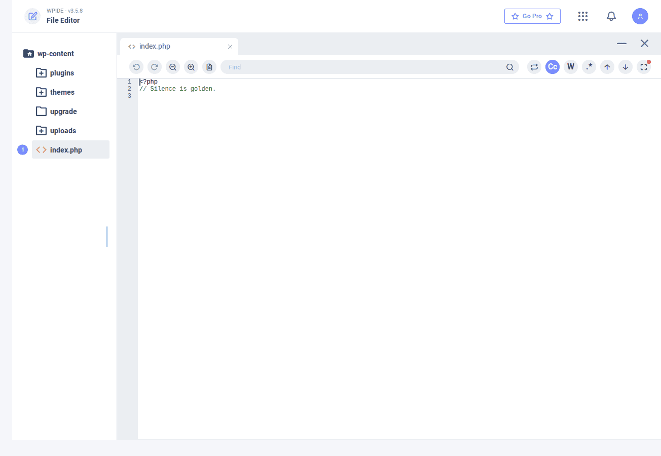 WPIDE code editor workspace