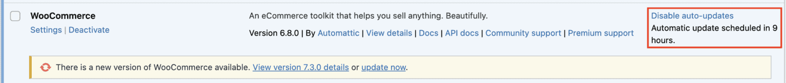 WordPress screen showing automatic plugin updates enabled