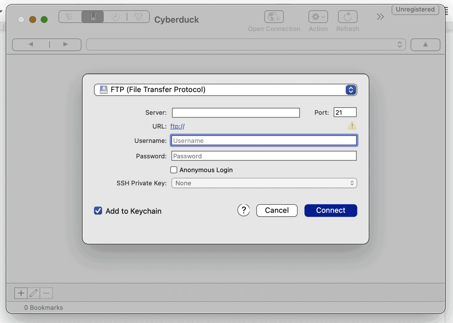 FTP connection to a server for accessing WordPress theme files